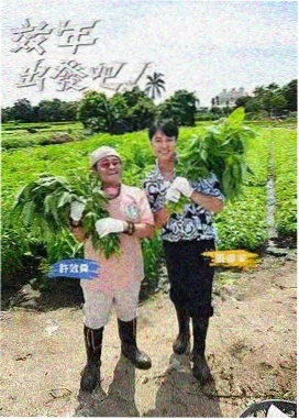 披荆斩棘第三季